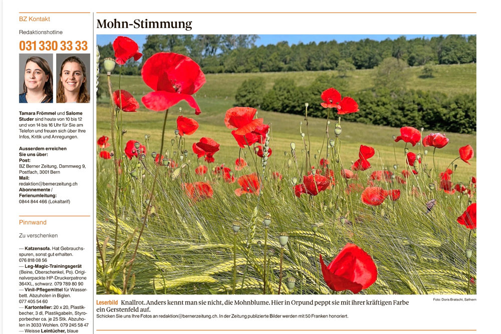 22.6.2021 Heute ist mein Bild in der Berner Zeitung 🤗