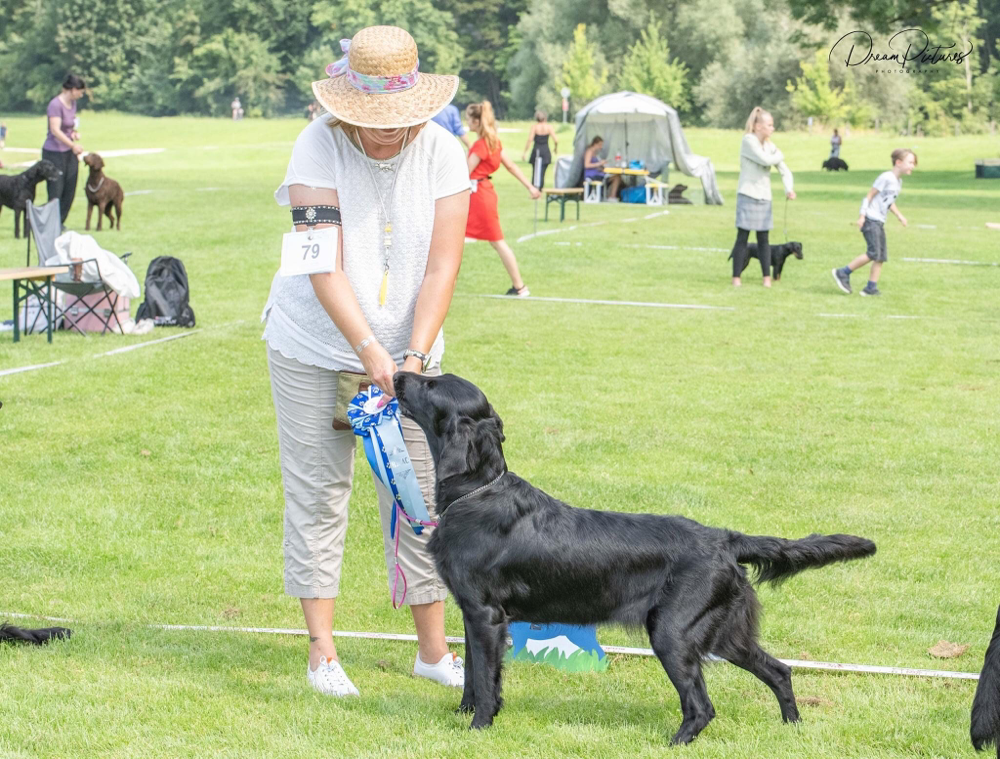 Bilder: Dreampictures