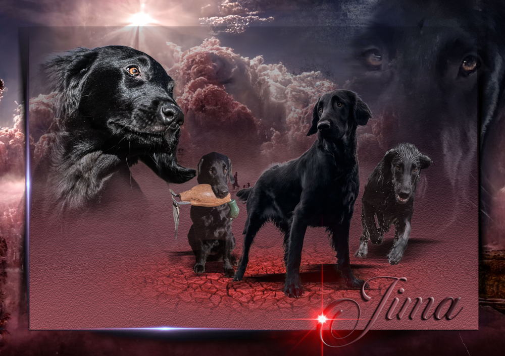 Cs Design for Breeders