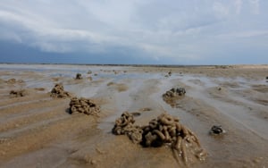 Wir laden den neuen Umweltminister direkt zu uns an die Nordsee ein