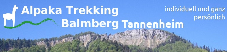 2 Webcams Balmberg klick