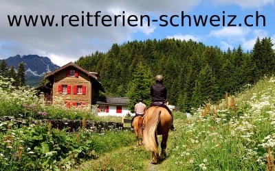 Reiferien Schweiz