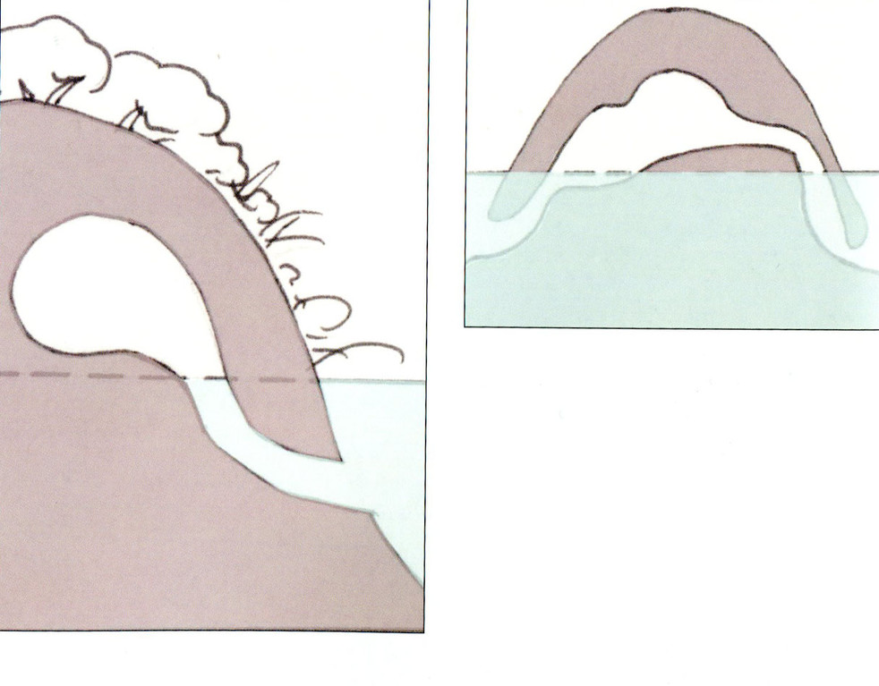 Querschnitt eines Biberbaus. Der Eingang ist immer unter Wasser um die Biber von Feinden zu schützen. Zusätzlich kommt dadurch auch bei Hochwasser kein Wasser in den Bau.