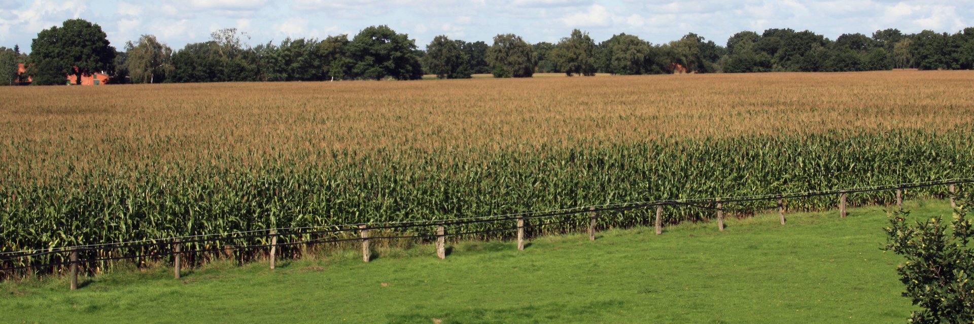 Keine Vermaisung der Landschaft!