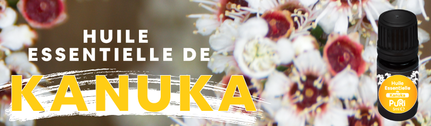Bannière Huile Essentielle de Kanuka Puri New Zealand avec fleur de Kanuka