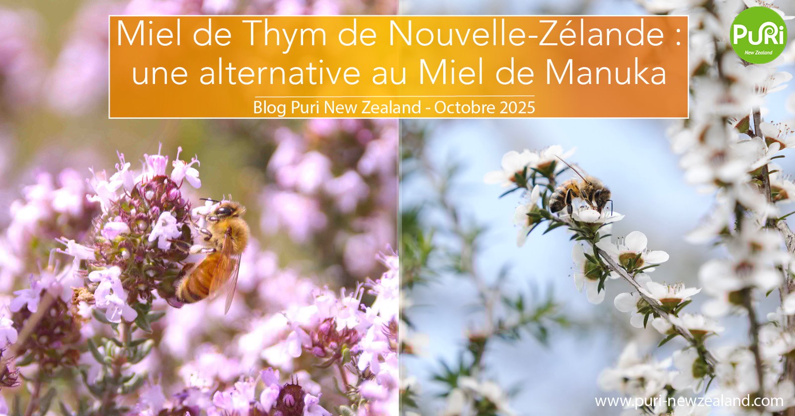 Miel de Thym de Nouvelle-Zélande : une alternative au Miel de Manuka
