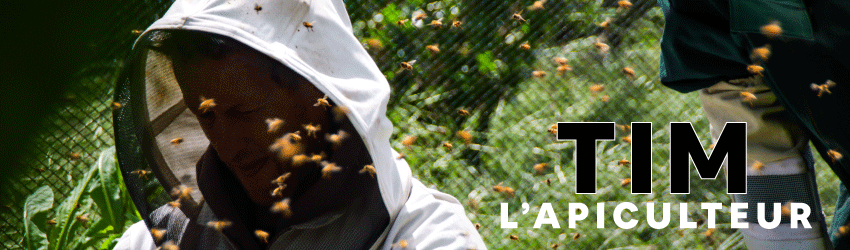 Tim Apiculteur de Nouvelle-Zélande qui récolte le Miel de Thym dans la région de Central Otago dans l'île sud de la Nouvelle-Zélande