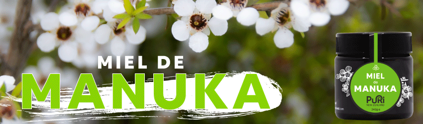 Bannière avec pot de Miel de Manuka 240g Puri New Zealand sous fond de fleurs de Manuka de Nouvelle-Zélande