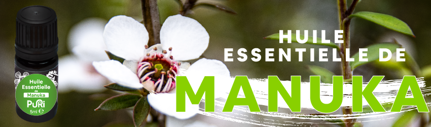 Bannière Huile Essentielle de Manuka Puri New Zealand avec fleur de Manuka