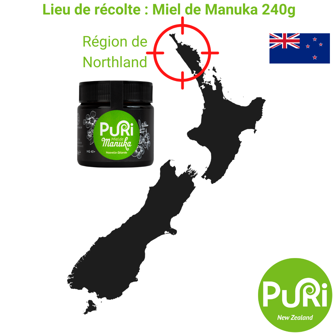 Miel de Manuka gourmet Puri New Zealand - origine Northland NZ