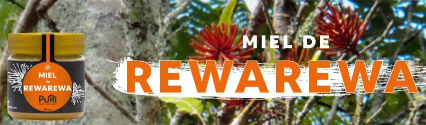 Bannière avec pot de Miel de Rewarewa 240g Puri New Zealand sous fond de fleurs de Rewarewa de Nouvelle-Zélande