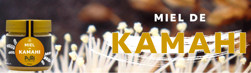 Bannière avec pot de Miel de Kamahi 240g Puri New Zealand sous fond de fleurs de Kamahi de Nouvelle-Zélande