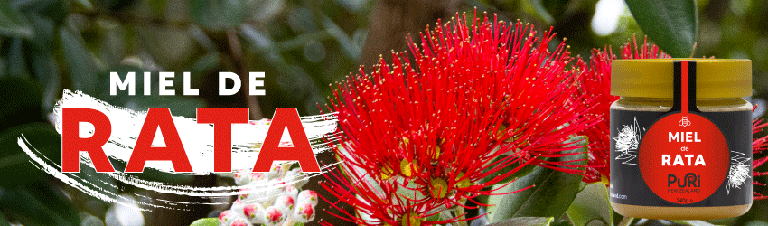 Bannière avec pot de Miel de Rata 240g Puri New Zealand sous fond de fleurs de Rata de Nouvelle-Zélande