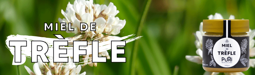 Bannière avec pot de Miel de Trèfle 240g Puri New Zealand sous fond de fleurs de Trèfle de Nouvelle-Zélande