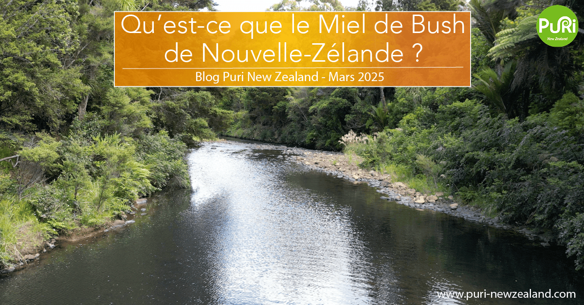 Qu'est-ce que le Miel de Forêt Tropicale de Nouvelle-Zélande?