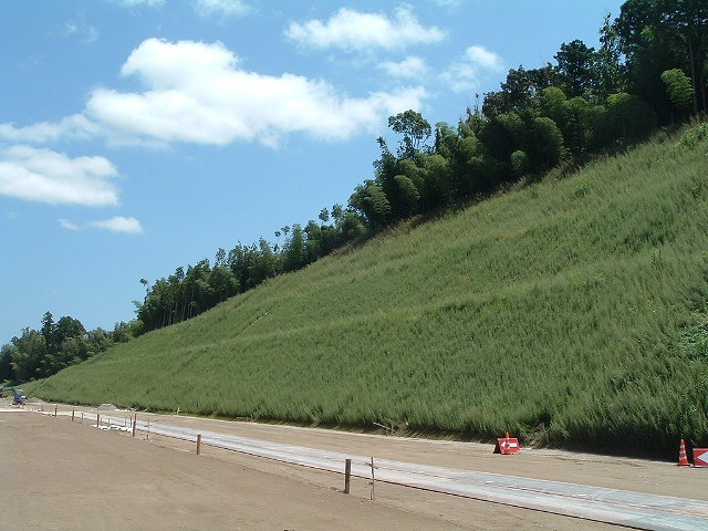 圏央道木更津植生マット(千葉県木更津市)