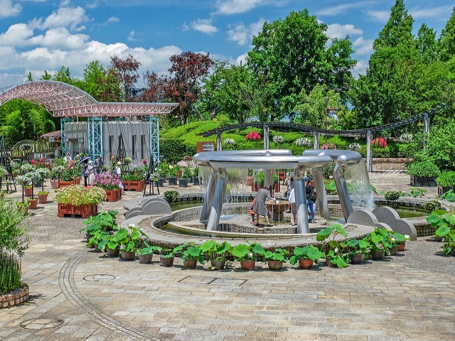 草津市水生植物公園2　漣華の池及壁泉(滋賀県草津市)