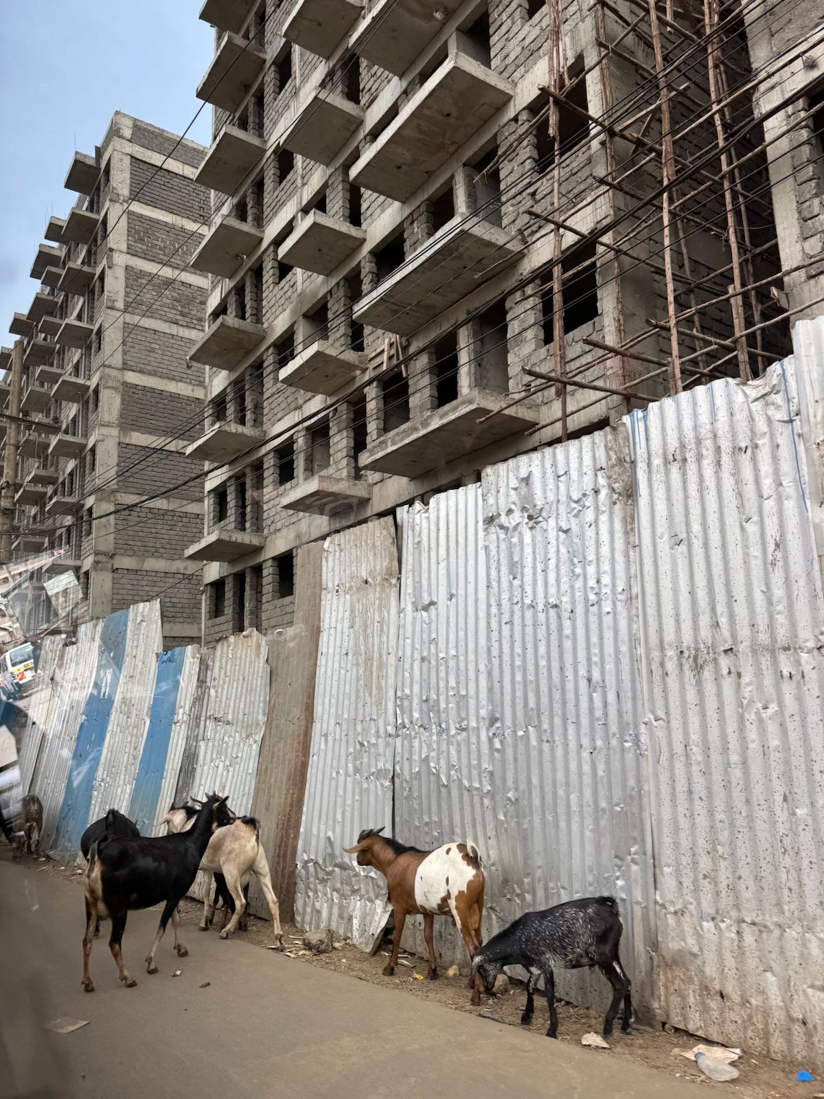 Bau neuer Wohngebäude