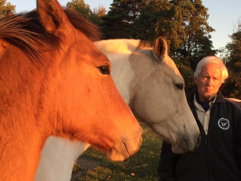 << Il galopait d'une foulée calme, installé dans un galop qui n'avait ni commencement ni fin. Ils étaient seuls, son cheval et lui. >> " Le Crabe et l'Aube " 