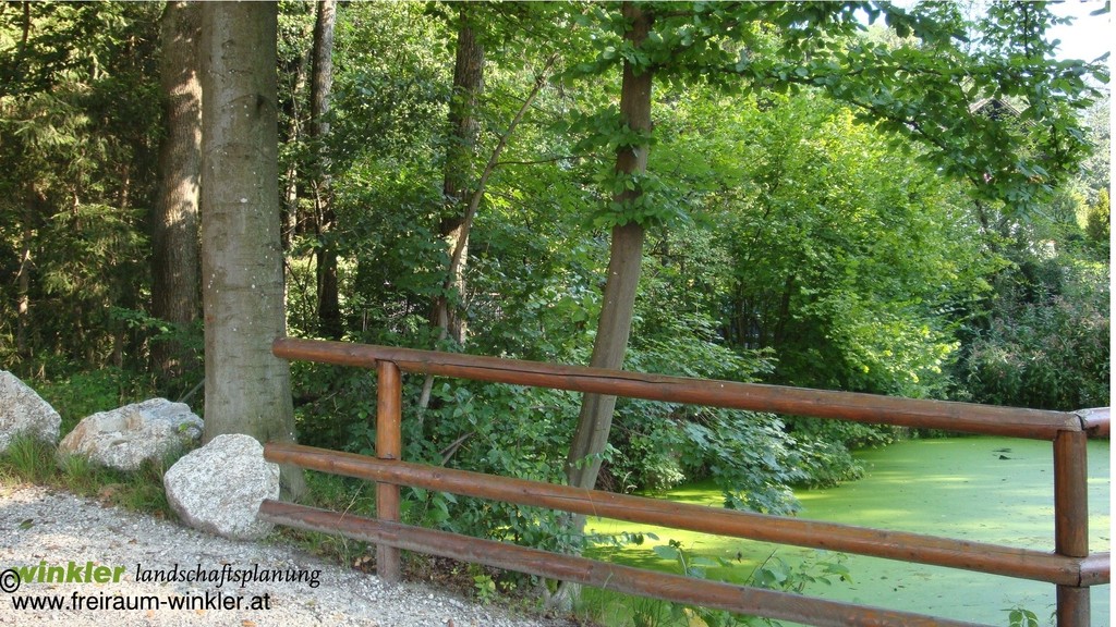 feuchtbiotop spitalswald, amstetten