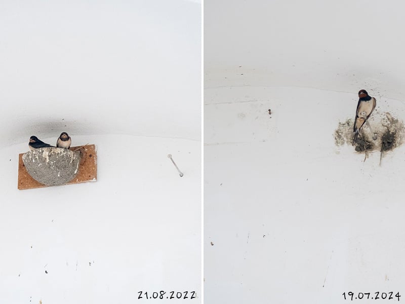 Entfernte Kunstnester am Max-Josefs-Platz | Foto Thomas Juretzky