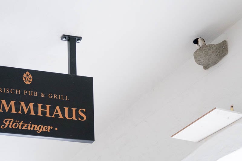 Besetztes  Nest am Flötzinger Stammhaus (Foto: Juretzky)