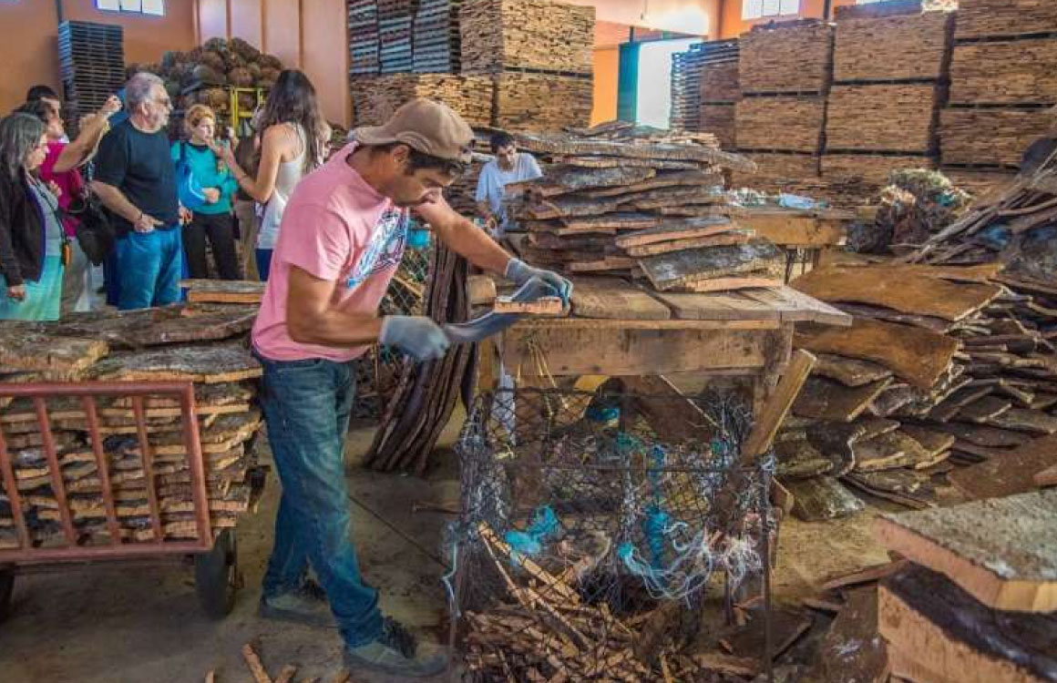 visite-usine-liege-algarve-portugal