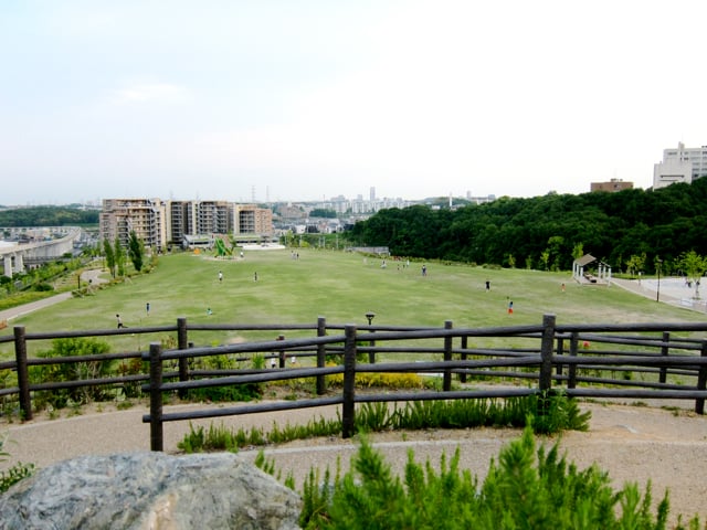 彩都西公園からの風景