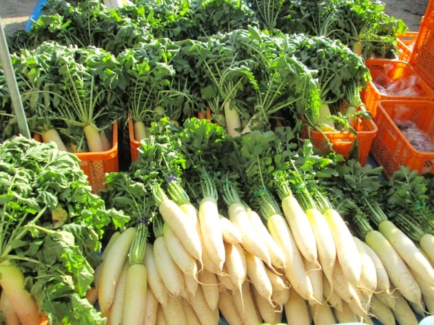 大根などの地元野菜もどっさり！