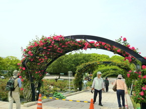 ローズフェスタ