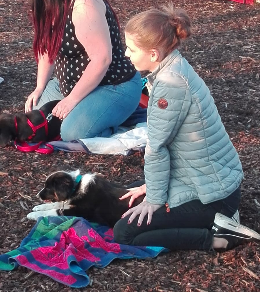 20.04.2018 - Welpenschule