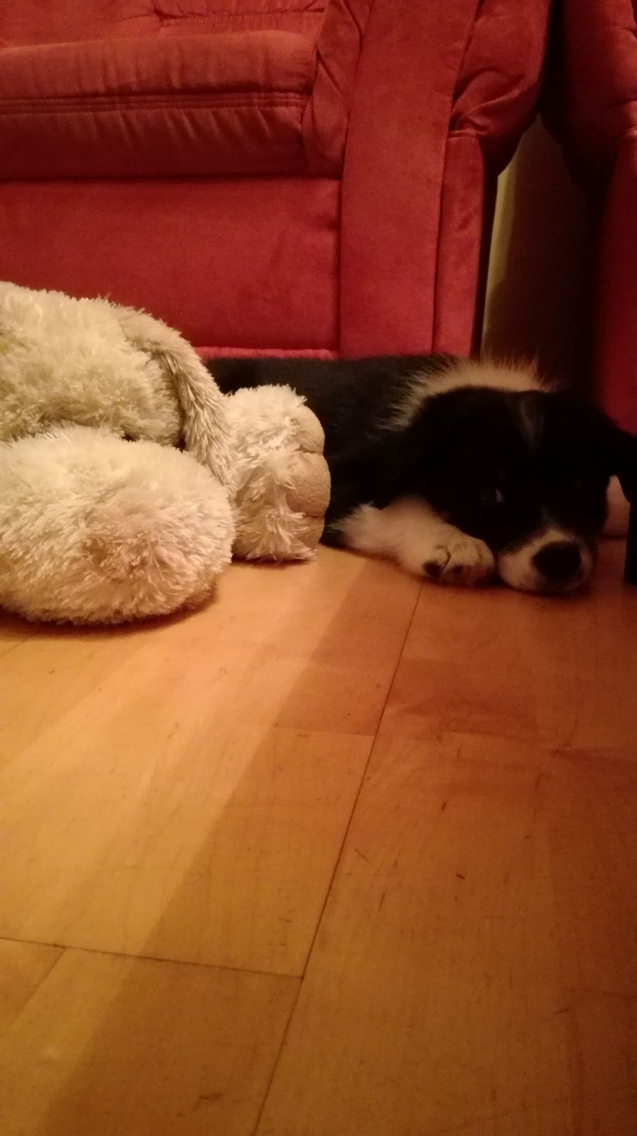 Sam mit seinem Kuscheltier