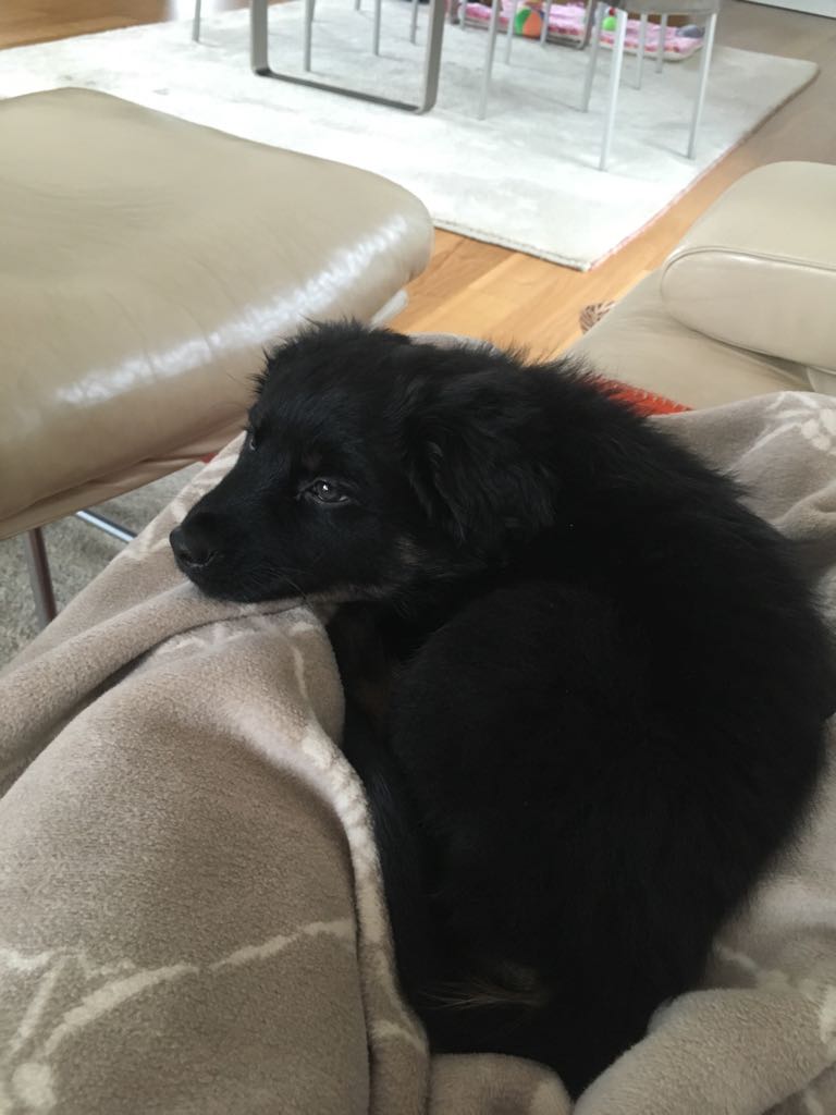 Ciak beim gemeinsamen Couchkuscheln