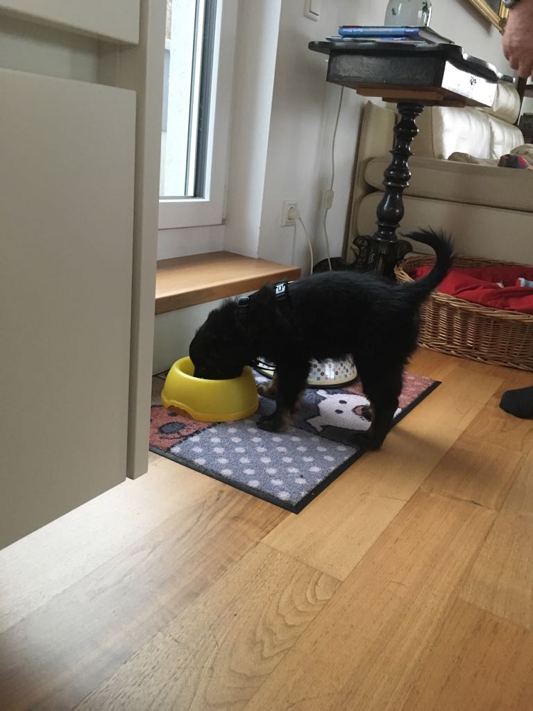 Ciak nach der Reise nach Graz gleich mal ordentlich futtern ;-).