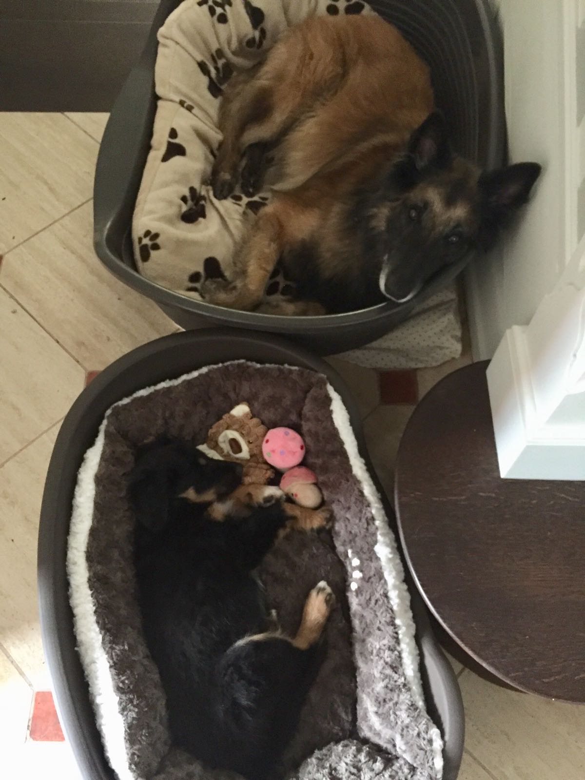 So süß die zwei :-)