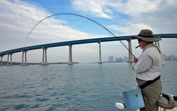 Fly Fishing hook up on San Diego Bay by Coronado Bridge