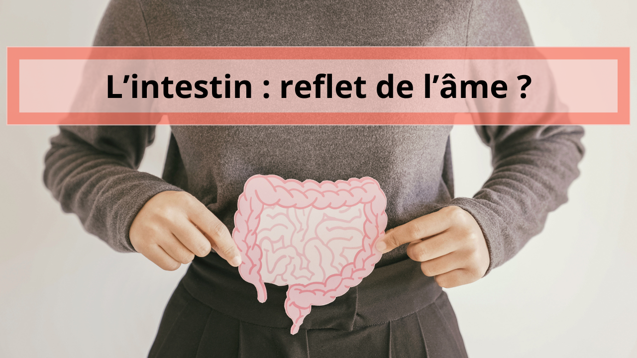 Le guide ultime pour une santé intestinale au top : Révélez le pouvoir de votre premier cerveau !