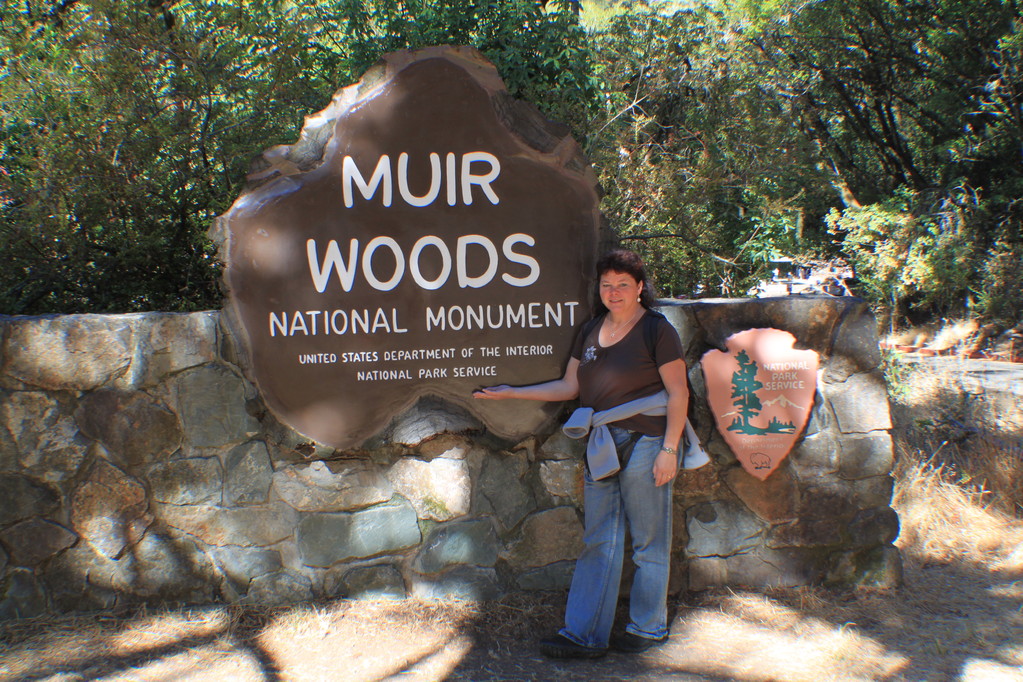 Die Riesen in Muir Woods