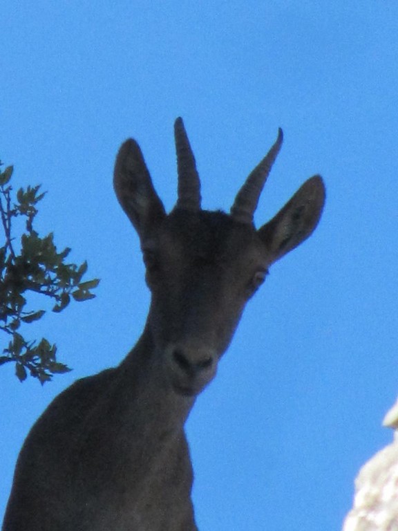 wer kommt den da? aha  sZeltners