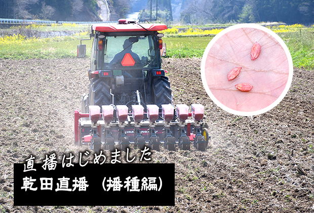 【直播はじめました】乾田直播（播種編）