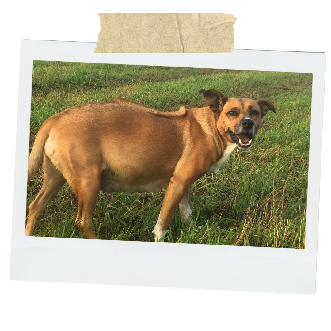 Ich bin Mutter und ich weiß wovon ich rede