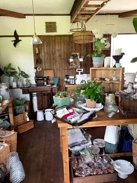 雑貨店店内の写真