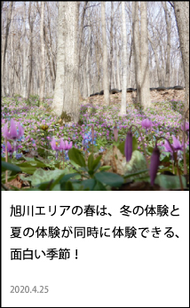 北海道の季節 旭川 春