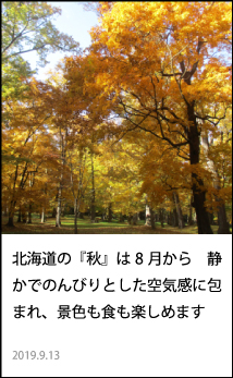北海道の「秋」は8月から　静かでのんびりとした空気感に包まれ、景色も食も楽しめます