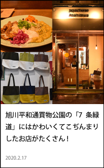 旭川平和通買物公園　7条緑道