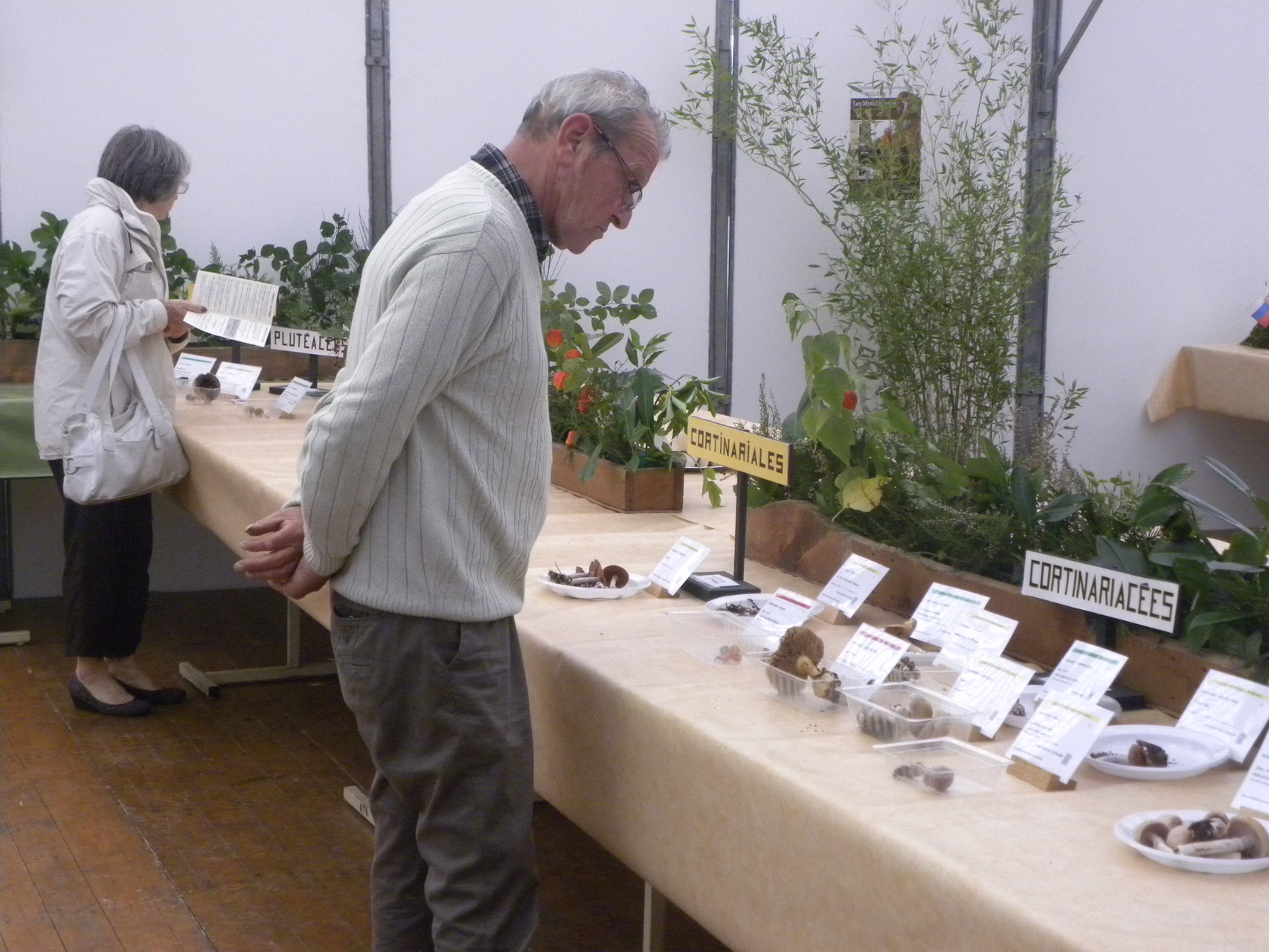 Octobre : Mycologiages