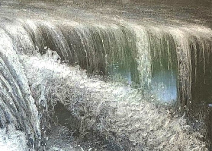 拡大してみました。