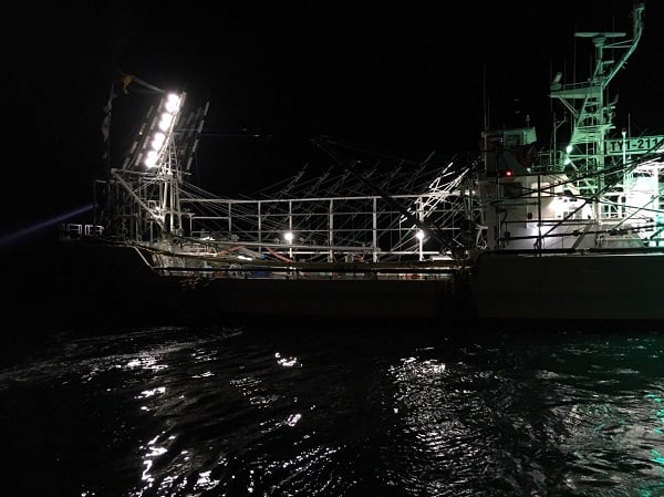 頑張ってねーーー