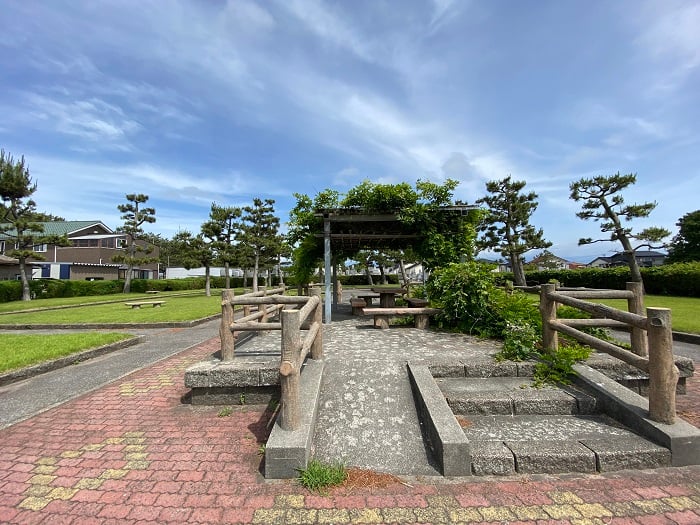 芝生も綺麗な広々緑エリア。