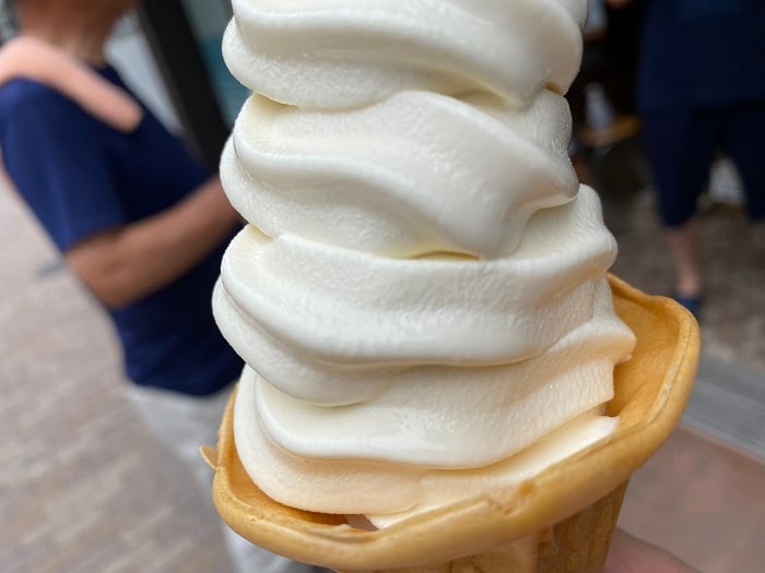 訪れたのは7月。とける～と言いながらあっという間に平らげました。